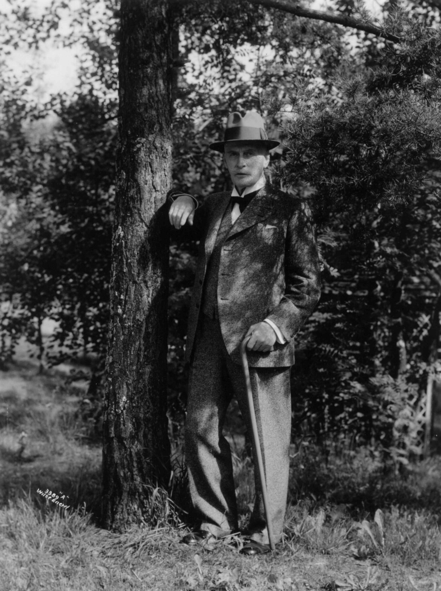 Anders Beer Wilse, Hamsun