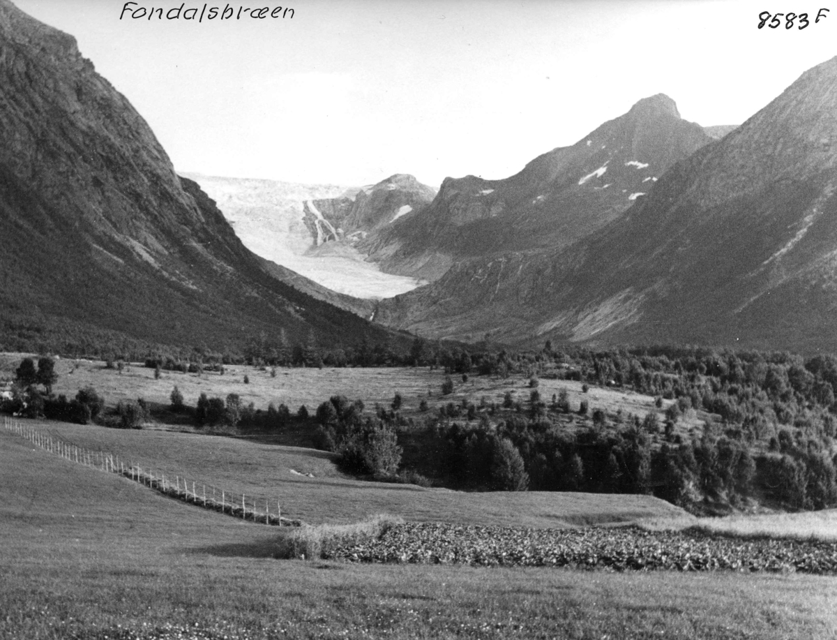 Anders Beer Wilse, Topografi