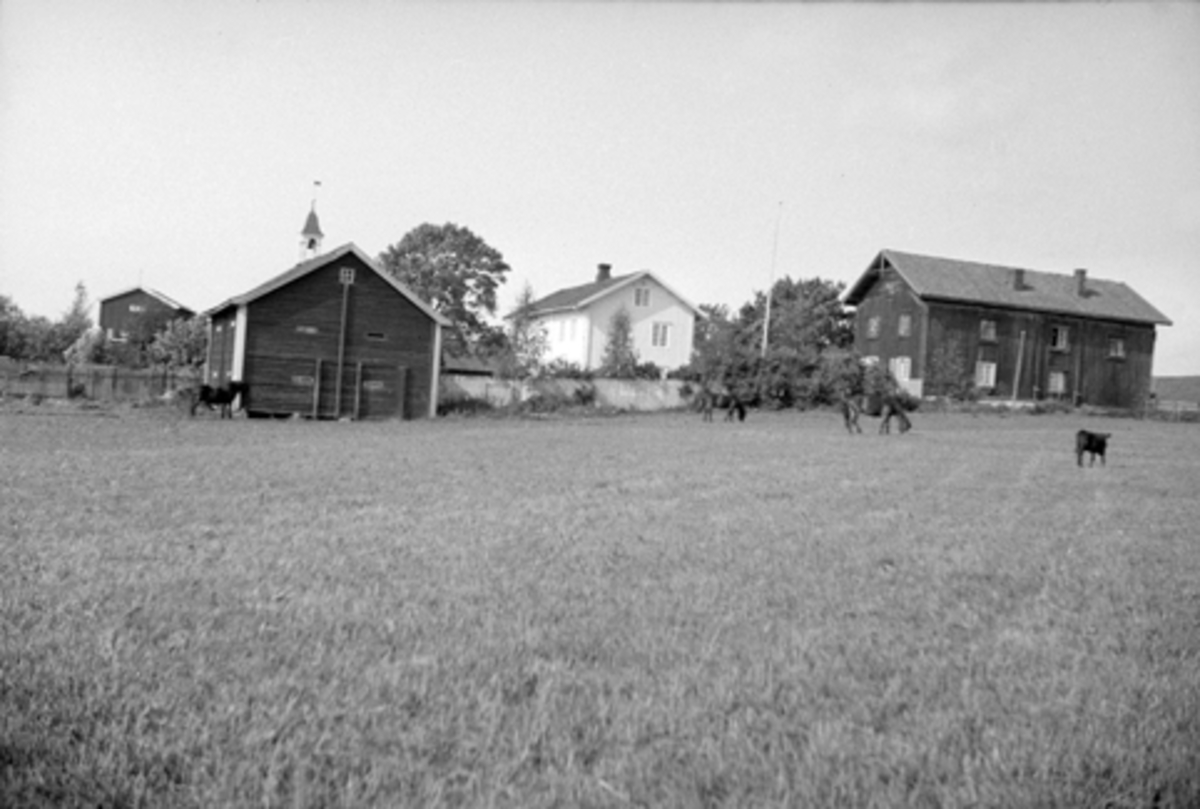 Anno Domkirkeodden, FARMEN GARD I VANG H. 189-