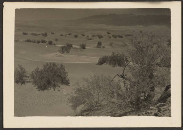 Louis Fleckenstein, [Landscape]