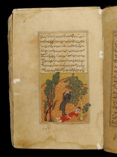 Unknown, Anvar-i Suhayli