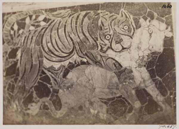 Parker, John Henry, Mosaic or incised marble picture, c. A.D. 100(?) - A Tiger upon the back of a Calf, (now in the Church of S. Antonio Abbate)
