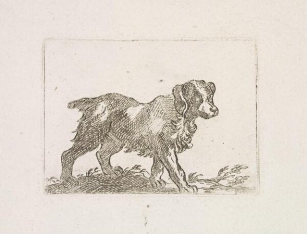 Unknown, Print