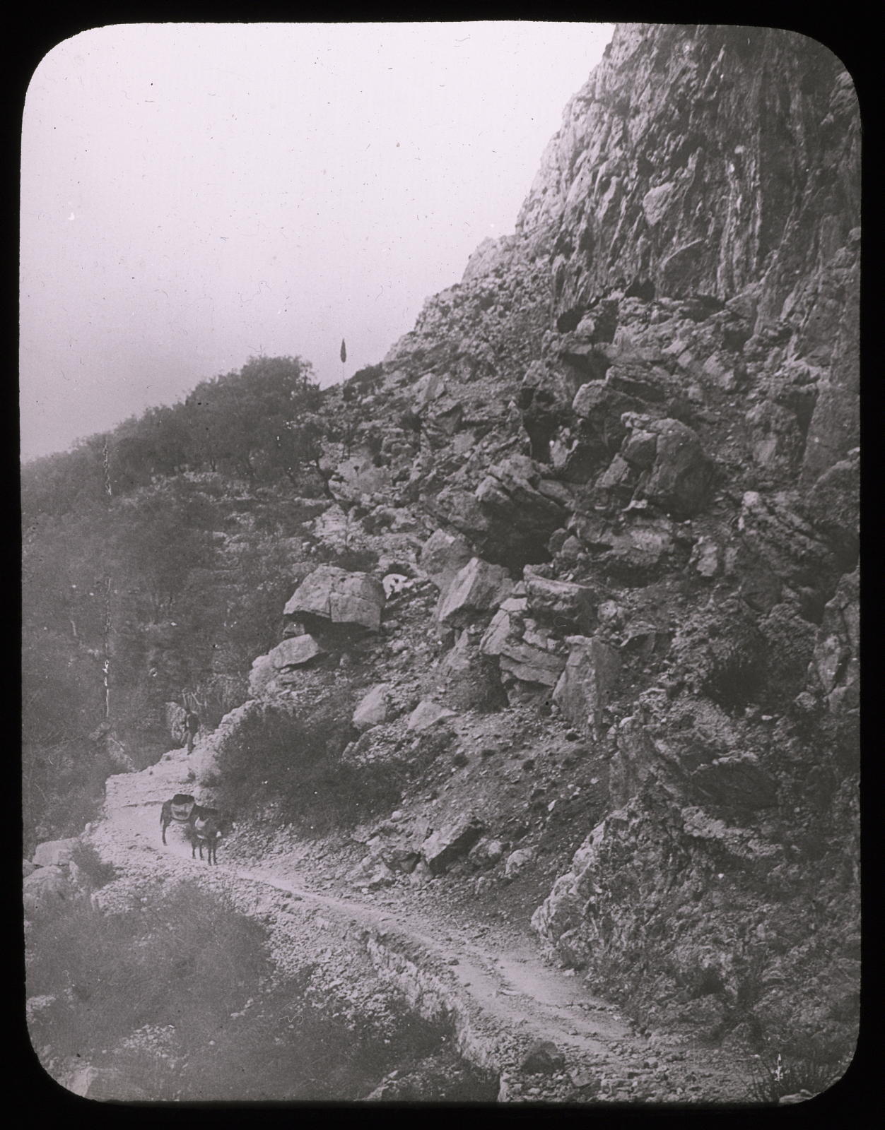 Desconegut, Pente du mont Agel et route. Alpes Maritimes Les Fils d'Émile Deyrolle