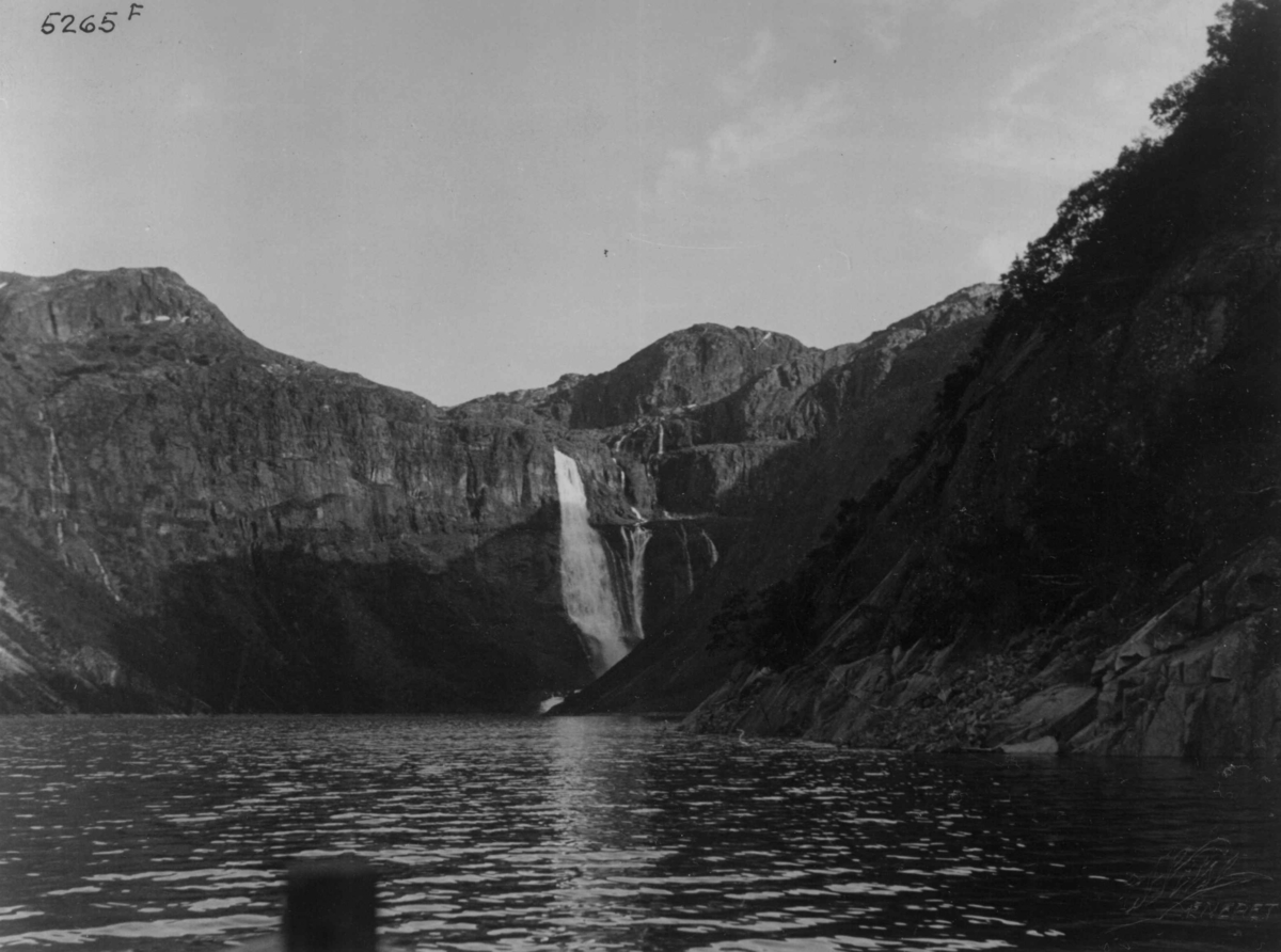 Anders Beer Wilse, Wilse original, Skjeggedalsfossen, Ringedalsvatnet