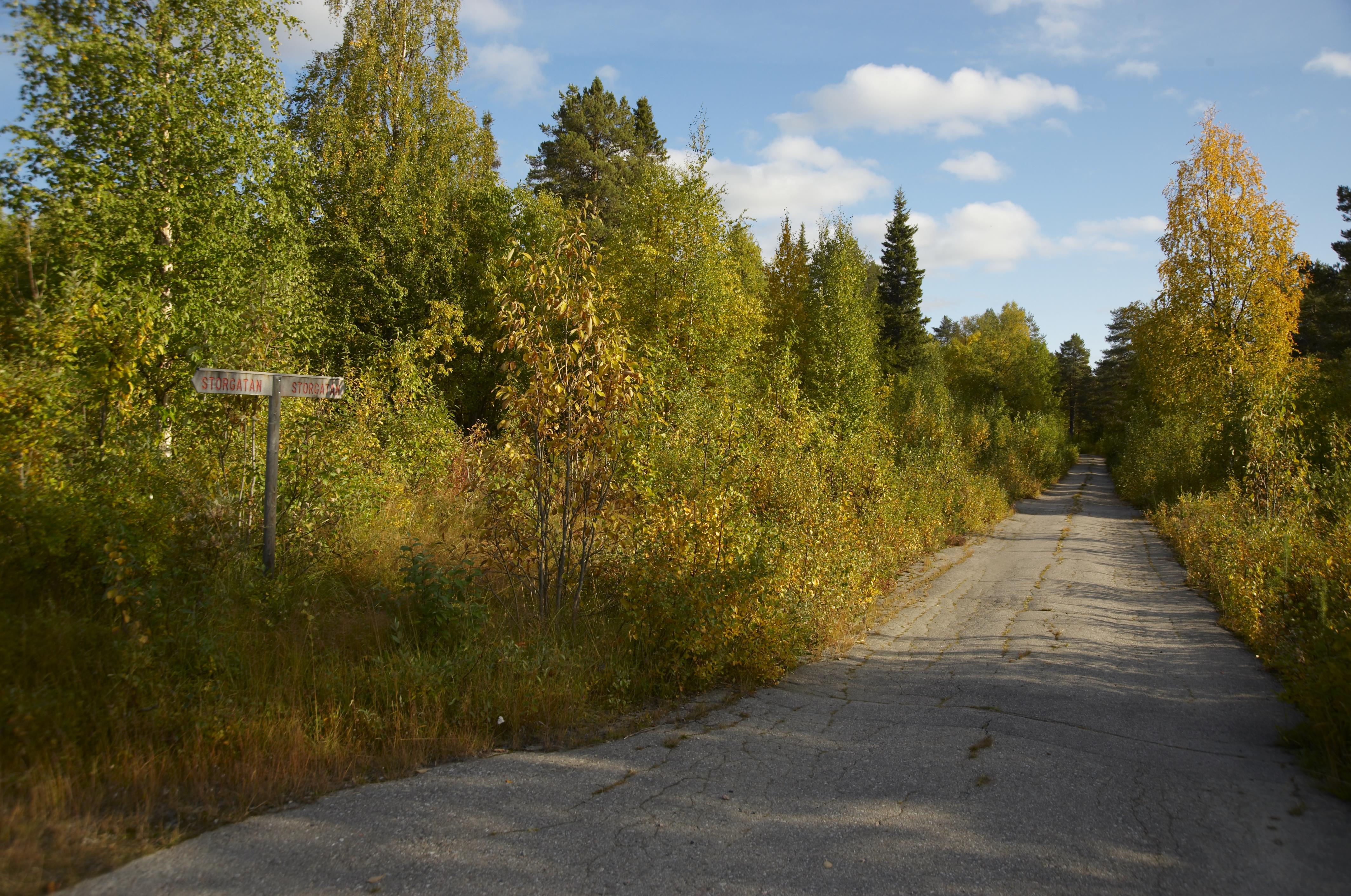 Bengt A Lundberg, Harsprånget