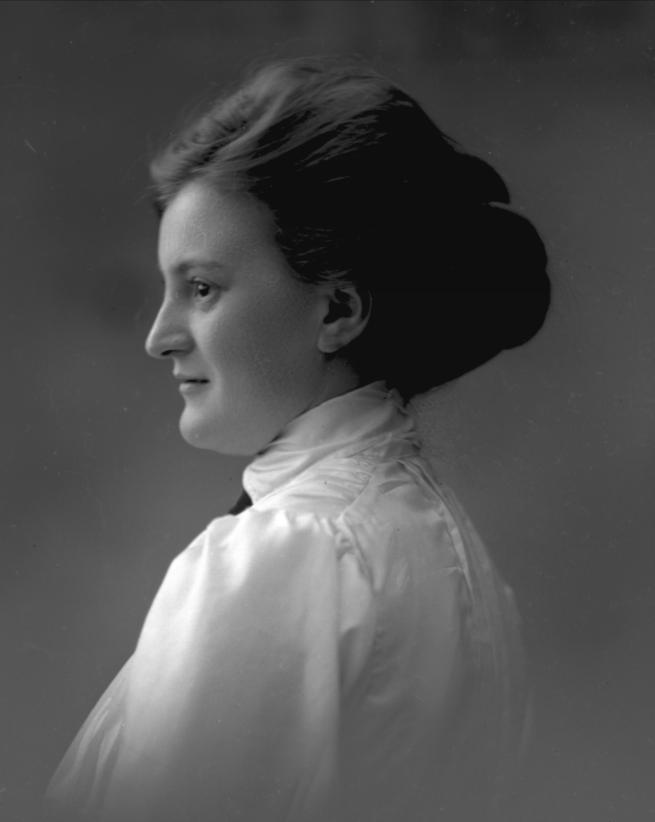 Gustav Borgen, NFB.29328