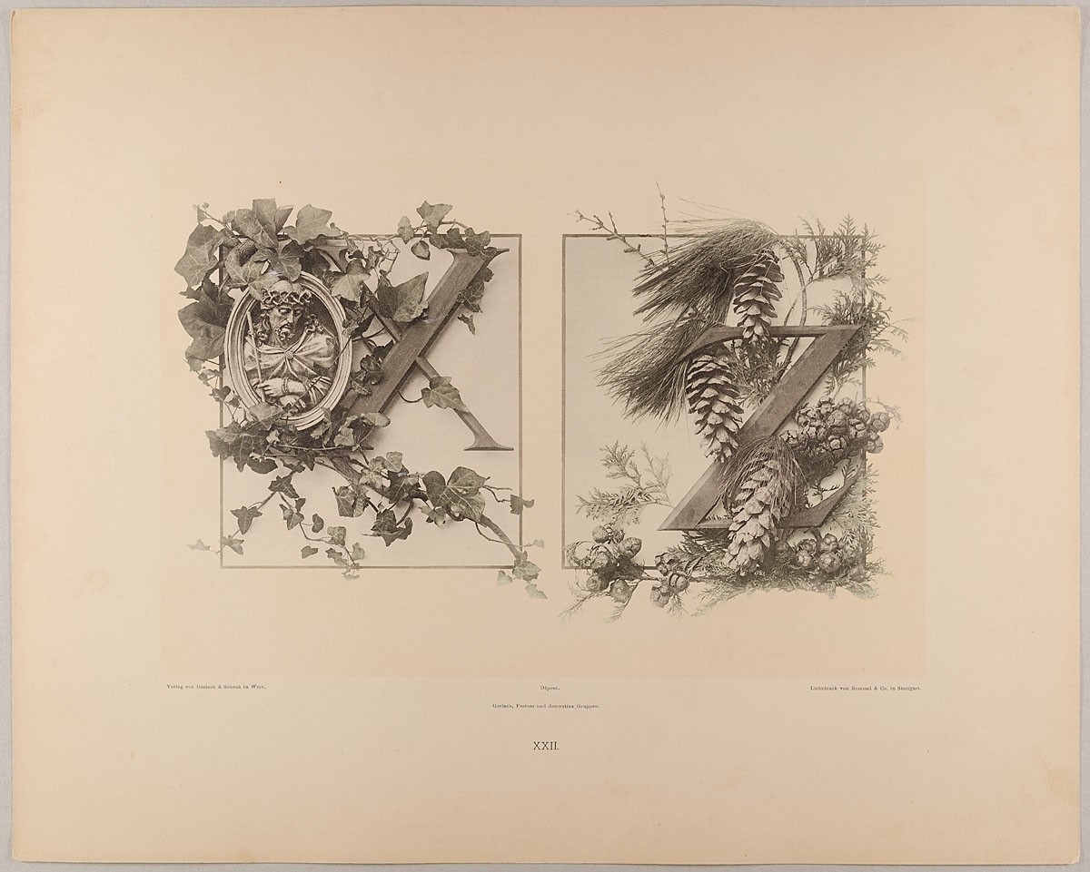 Martin Gerlach, XXII. Initiale X Z mit Epheu mit Medaillon - Nadelholz und Cypresse