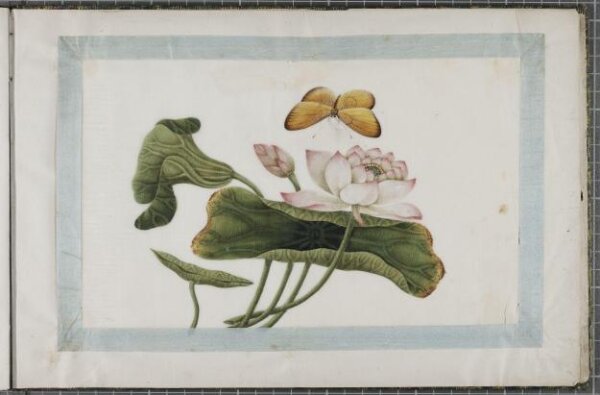 Unknown, Painting