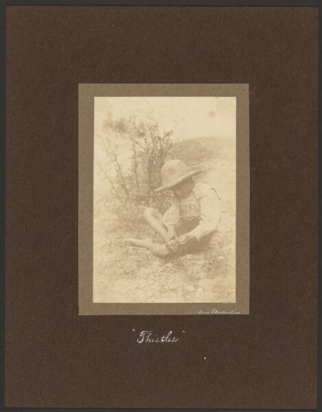 Louis Fleckenstein, Thistles