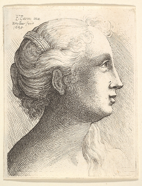 Wenceslaus Hollar, Head of a young woman in profile to right