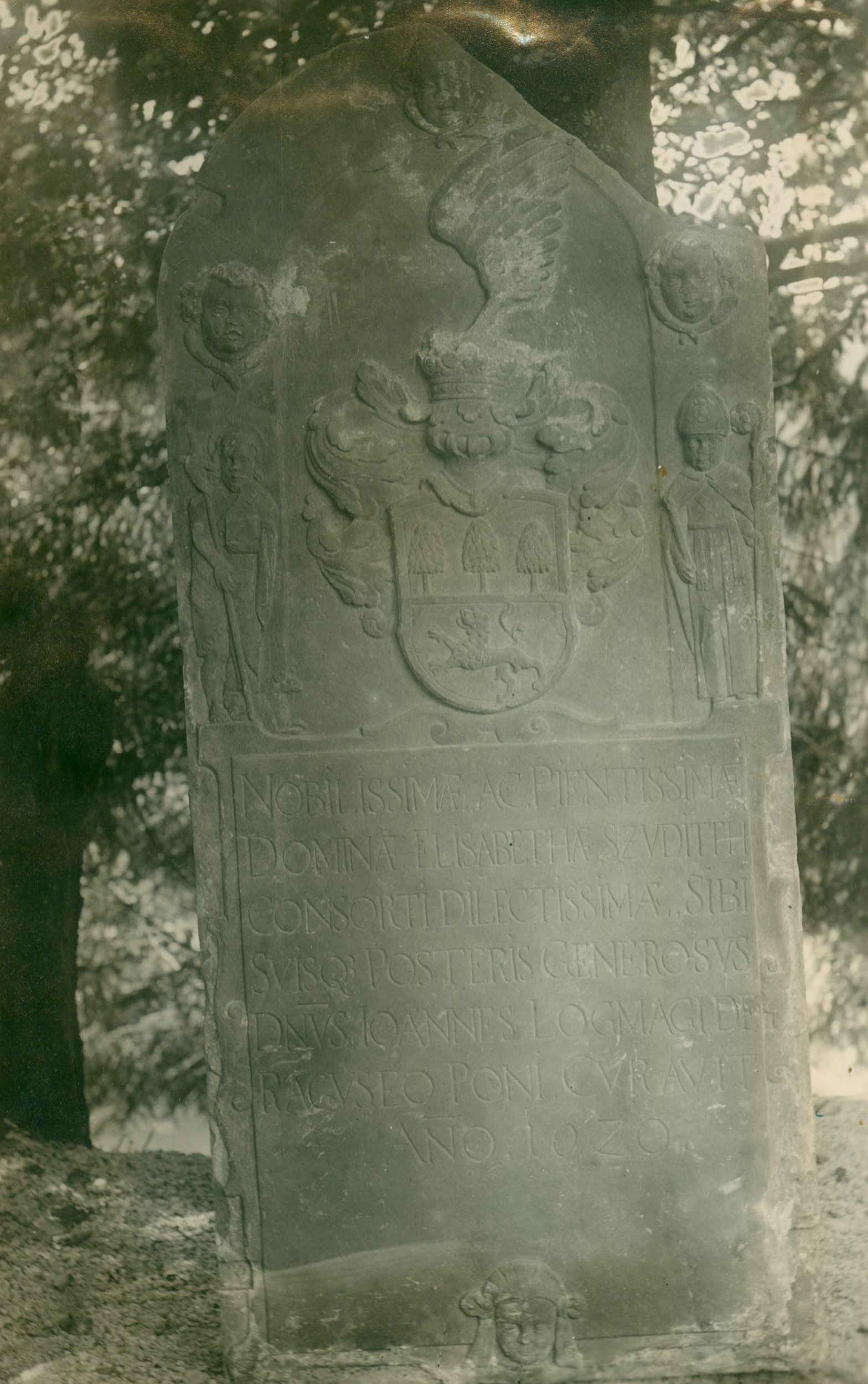 Josip Brunšmid, Krapina - nadgrobni spomenik Elizabete Sudić