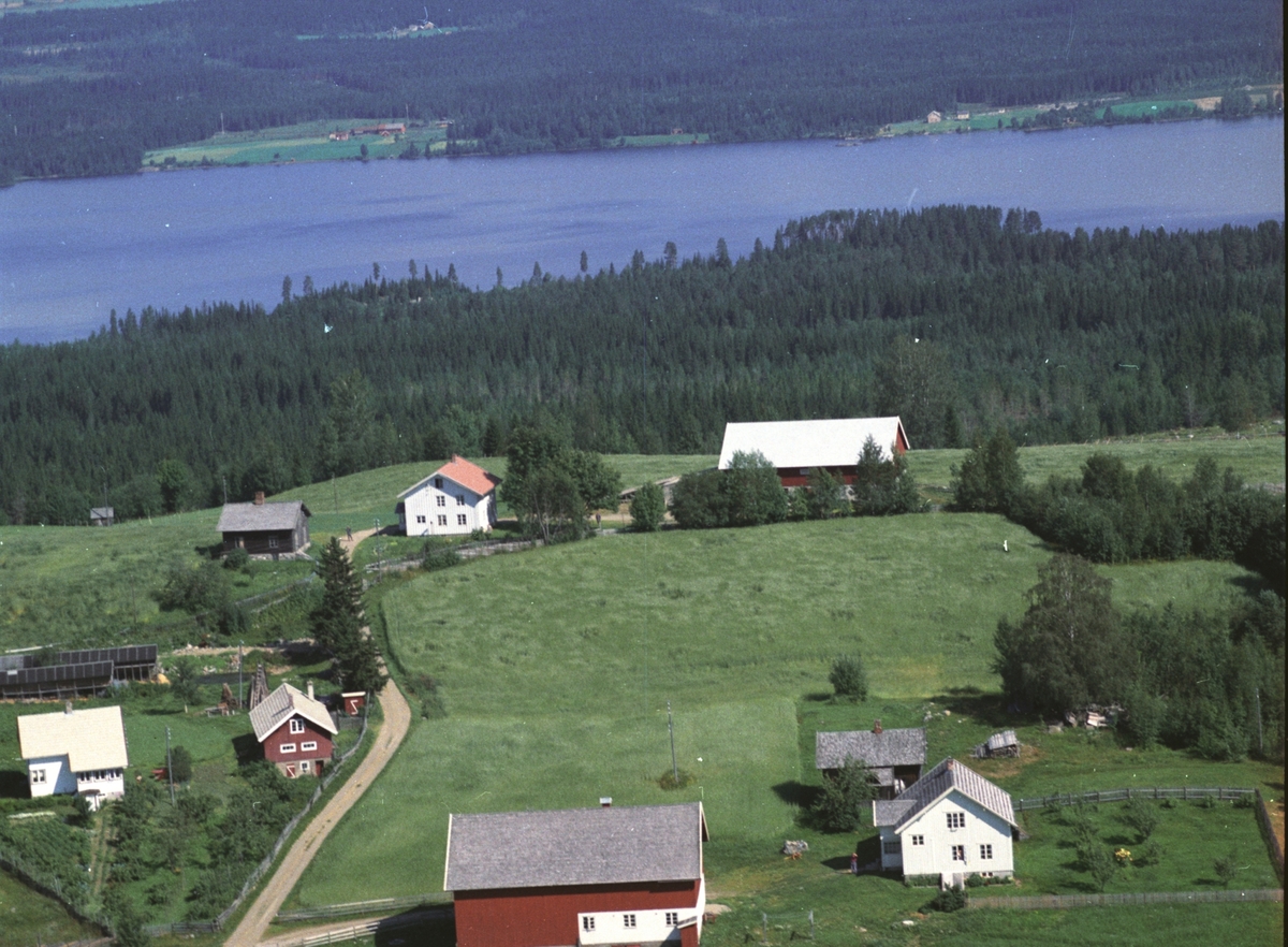 Widerøes Flyveselskap A/S, Flyfoto av Byenstuen øvre, Brøttum, Ringsaker. Pelsdyrfarm.