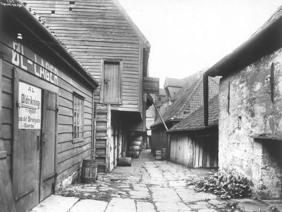 Anders Beer Wilse, Topografi, Tyskebryggen