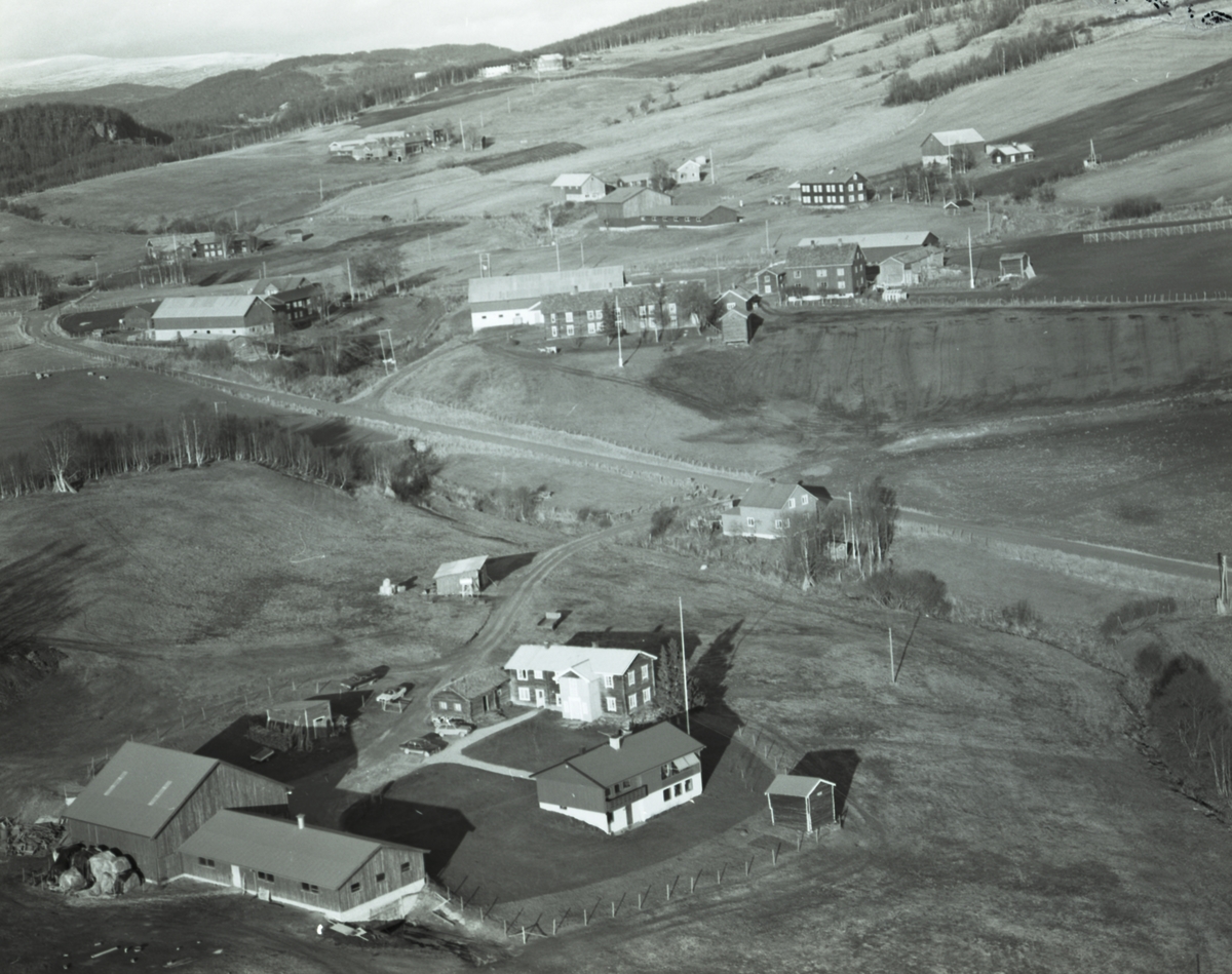 Jan Erik Øvergård, Gardsbruk Dalsbygda