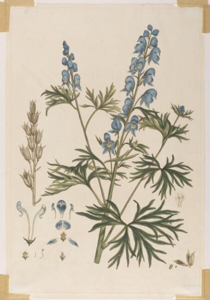 John Miller, Print