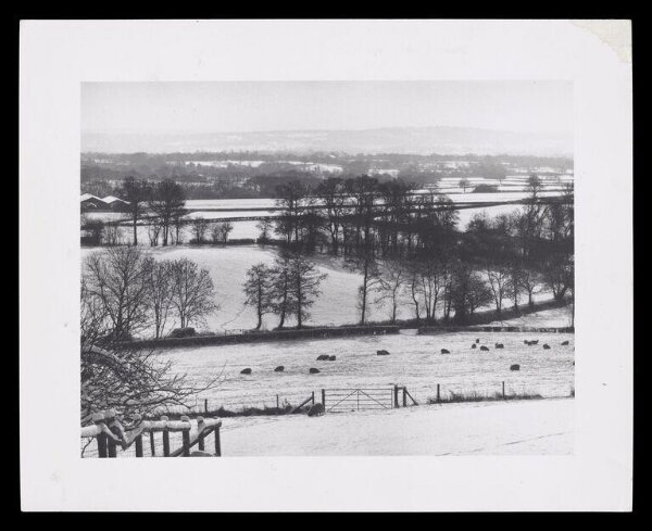 Hardy, Bert, Snow