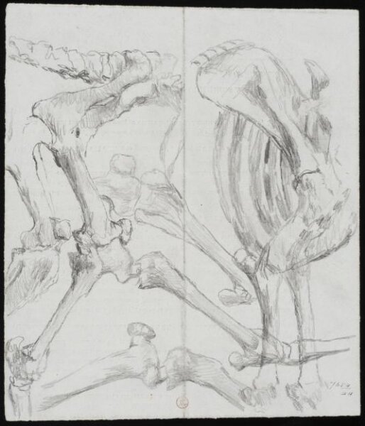 William Etty, Drawing
