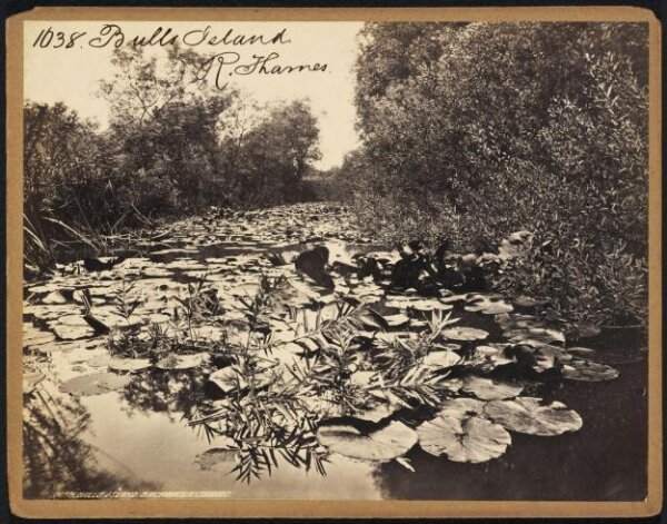 Francis Frith, Bulls Island.  R. Thames