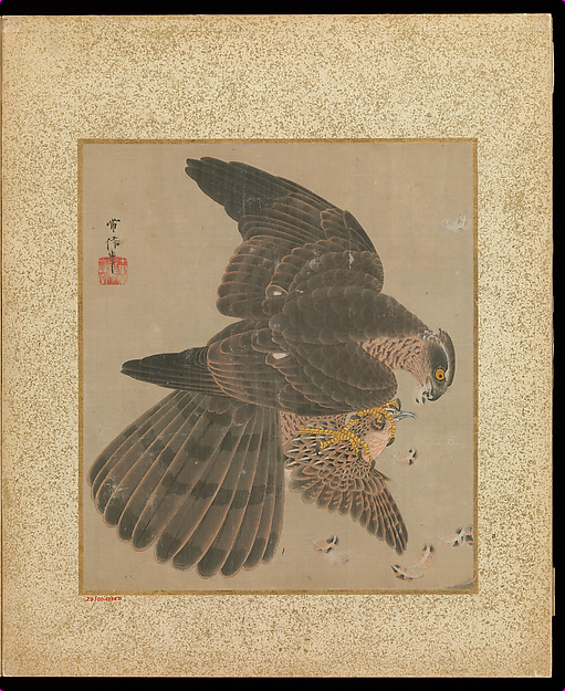 Kano Tsunenobu, Album of Hawks and Calligraphy