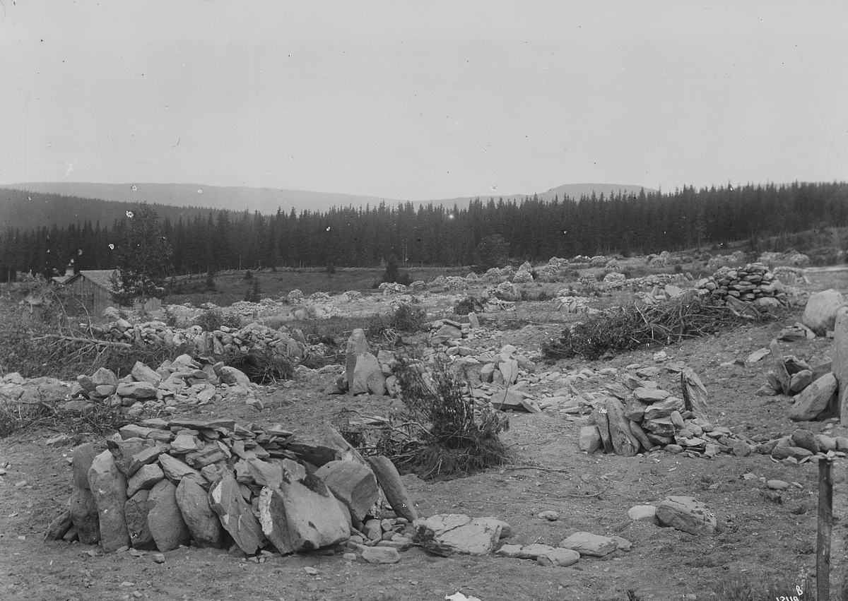 Anders Beer Wilse, Konv: Wulfsberg/rydning