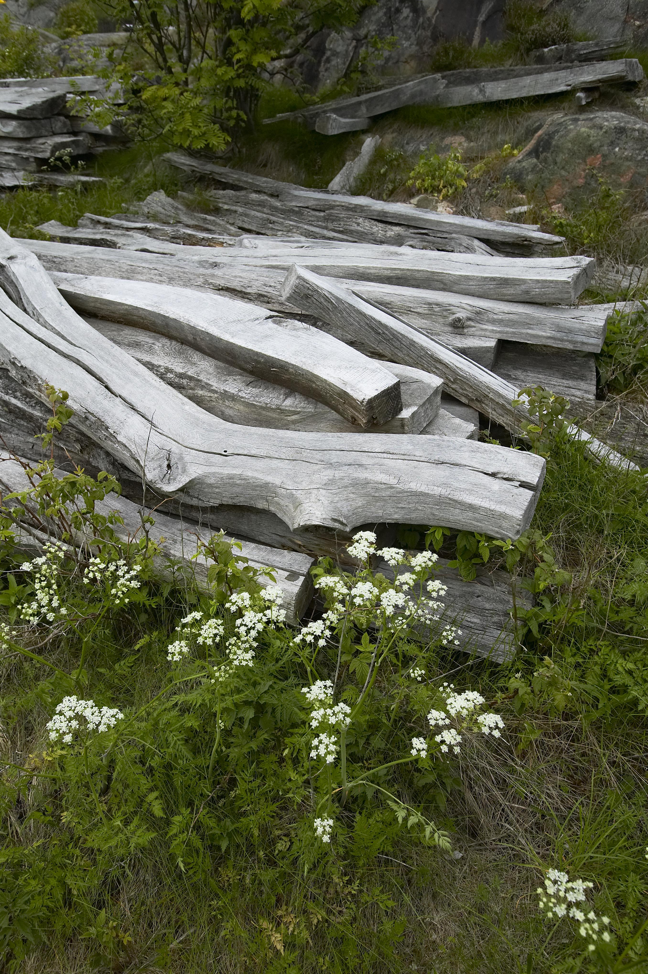 Bengt A Lundberg, Hälleviksstrand