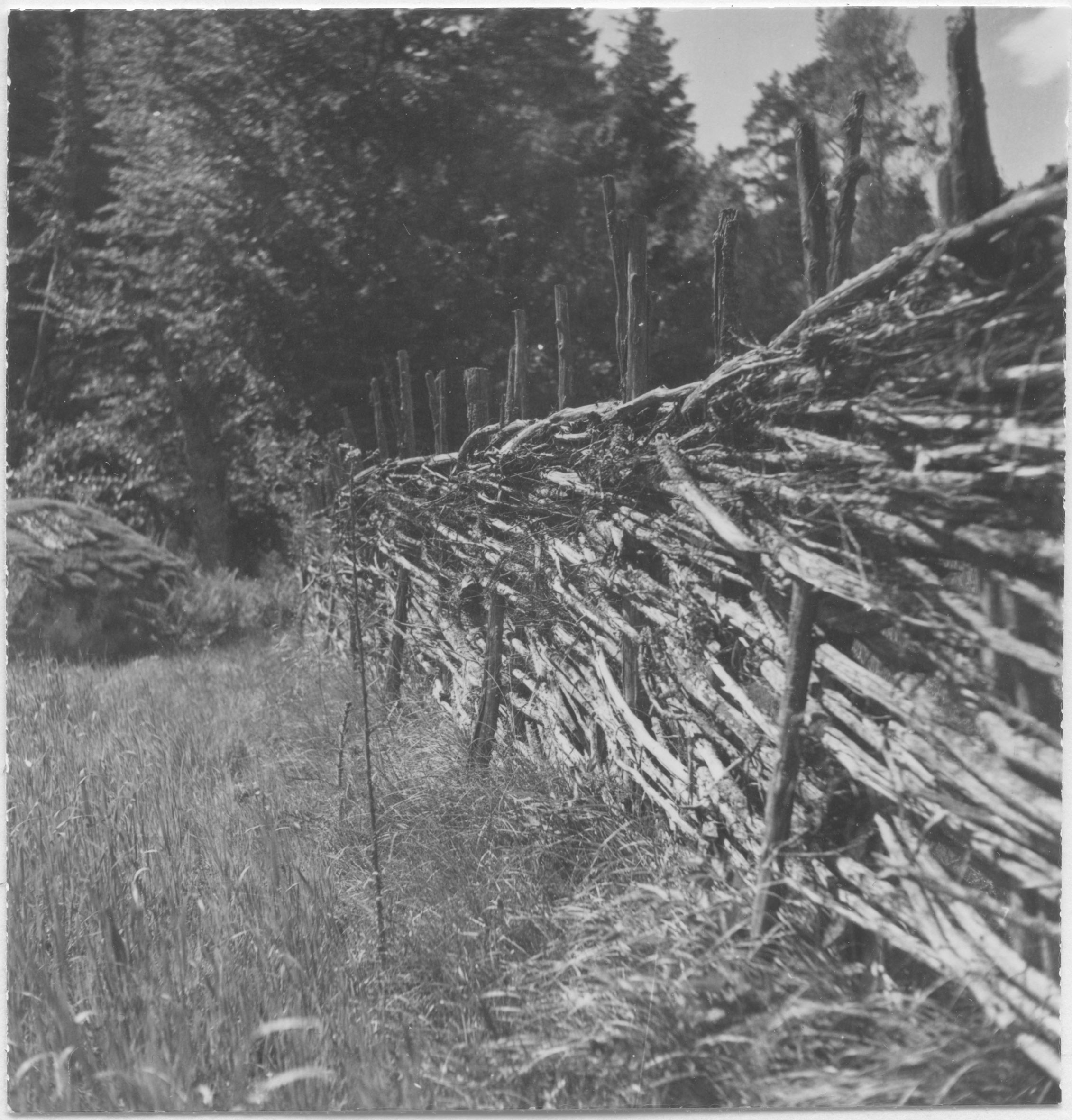 Mårten Sjöbeck, Hallandsboda