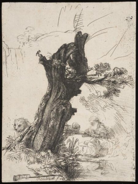 Rembrandt van Rijn, St Jerome beside a pollard willow