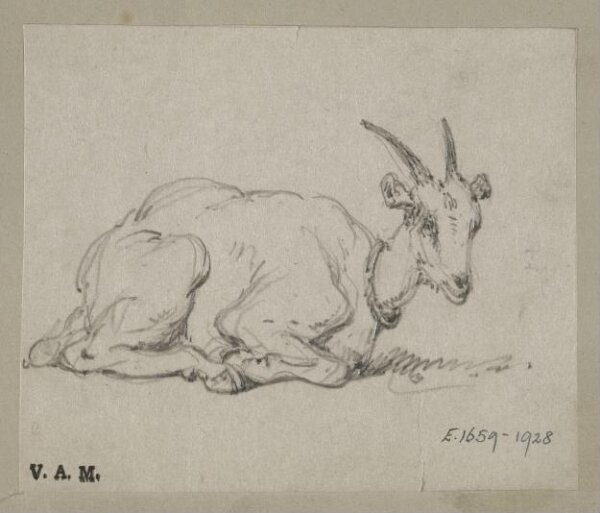 George Chinnery, A goat on its haunches