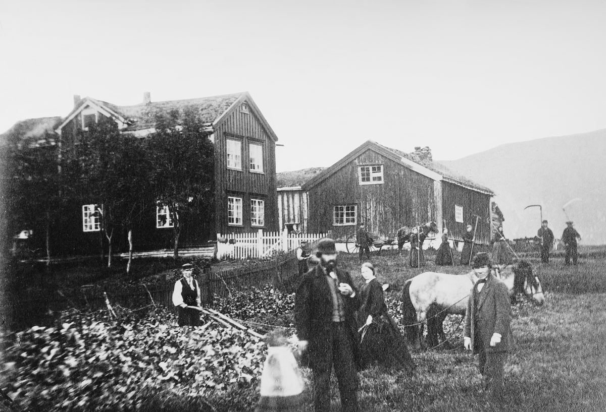 Anders Beer Wilse, Port: Nergaard, ahner gård