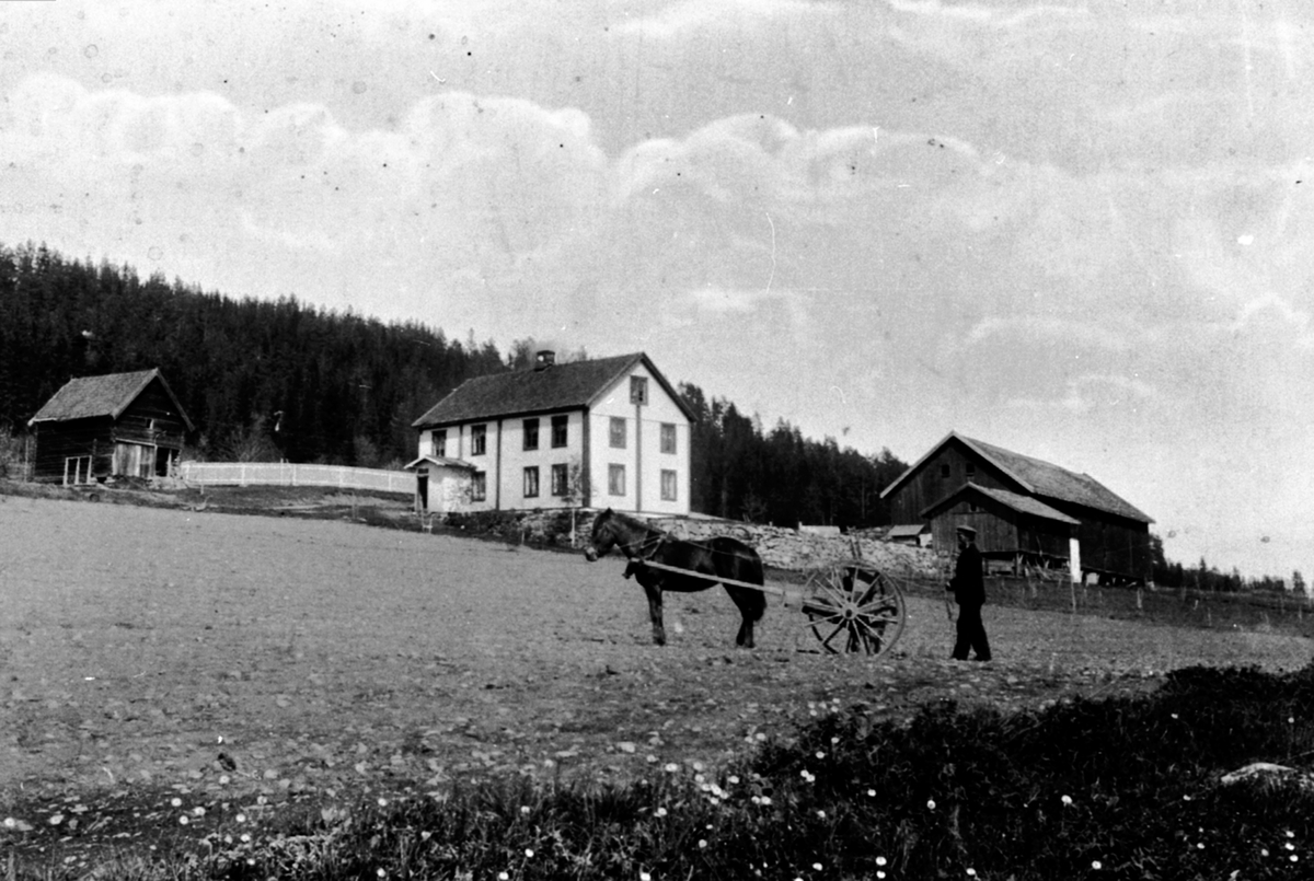 Anno Domkirkeodden, Våronn på Røste, Helgøya. Per Røste f.1910 med hest og såmaskin.