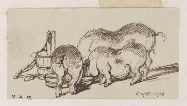 George Chinnery, Three pigs at a trough
