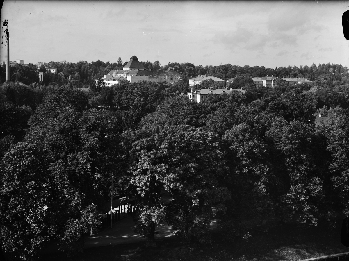 Paul Sandberg, Stadsträdgården, Uppsala oktober 1949