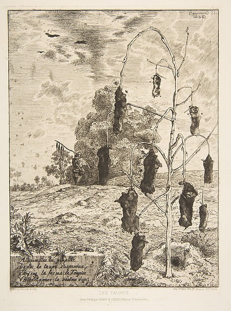 Félix Bracquemond, Les Taupes