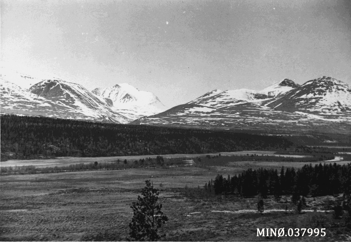 Oddvar Dobloug, Utstikt mot Rondane