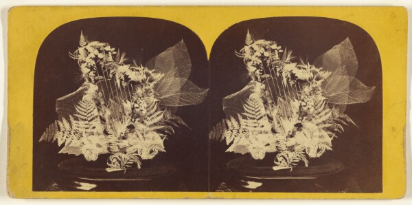 Edward and Henry T. Anthony & Co., Beautiful Study in Skeleton Leaves. The Lyre.