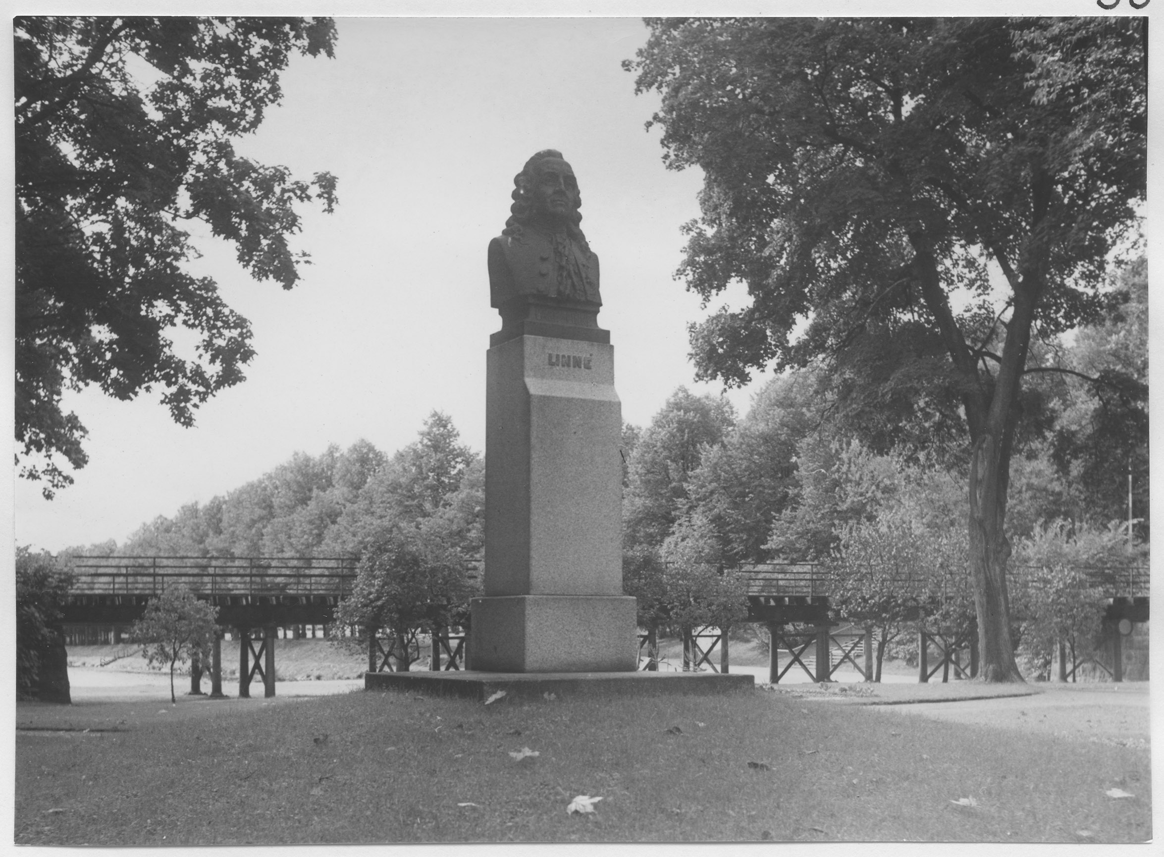 Mårten Sjöbeck, Växjö, Linnéparken