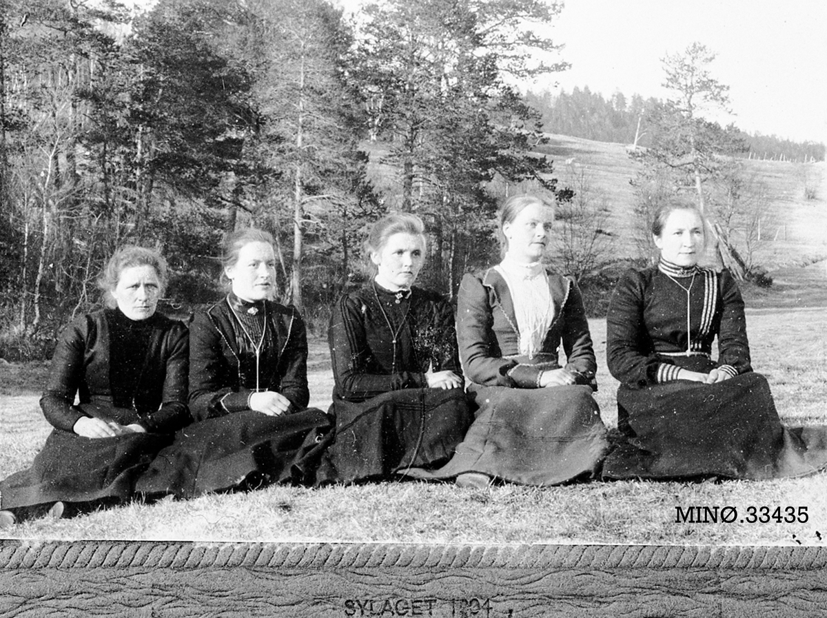 Ukjent, Sylaget 1904.