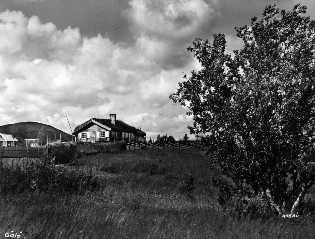 Anders Beer Wilse, Gålå setergrend, landbruk.