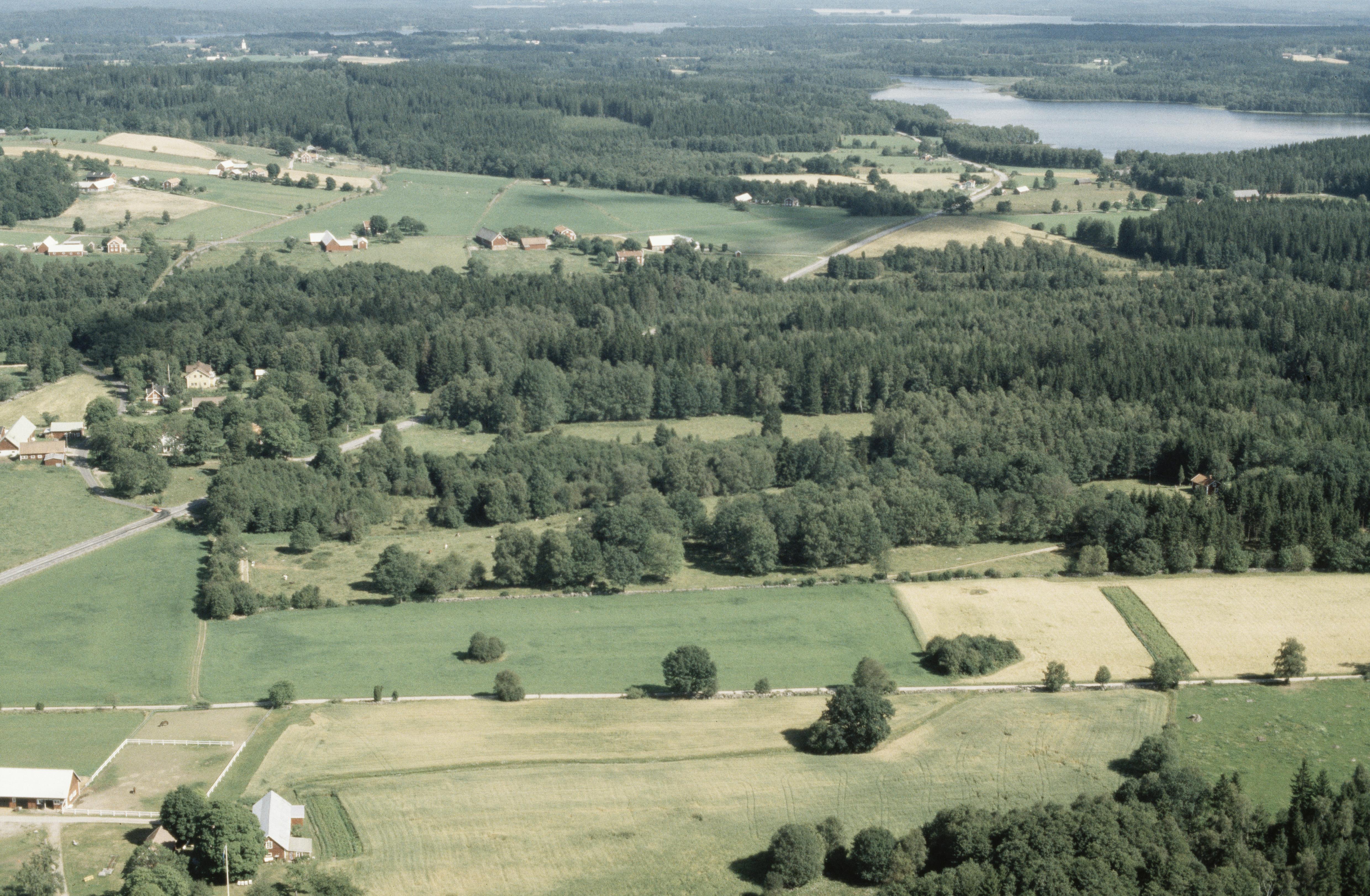 Jan Norrman, Ryd