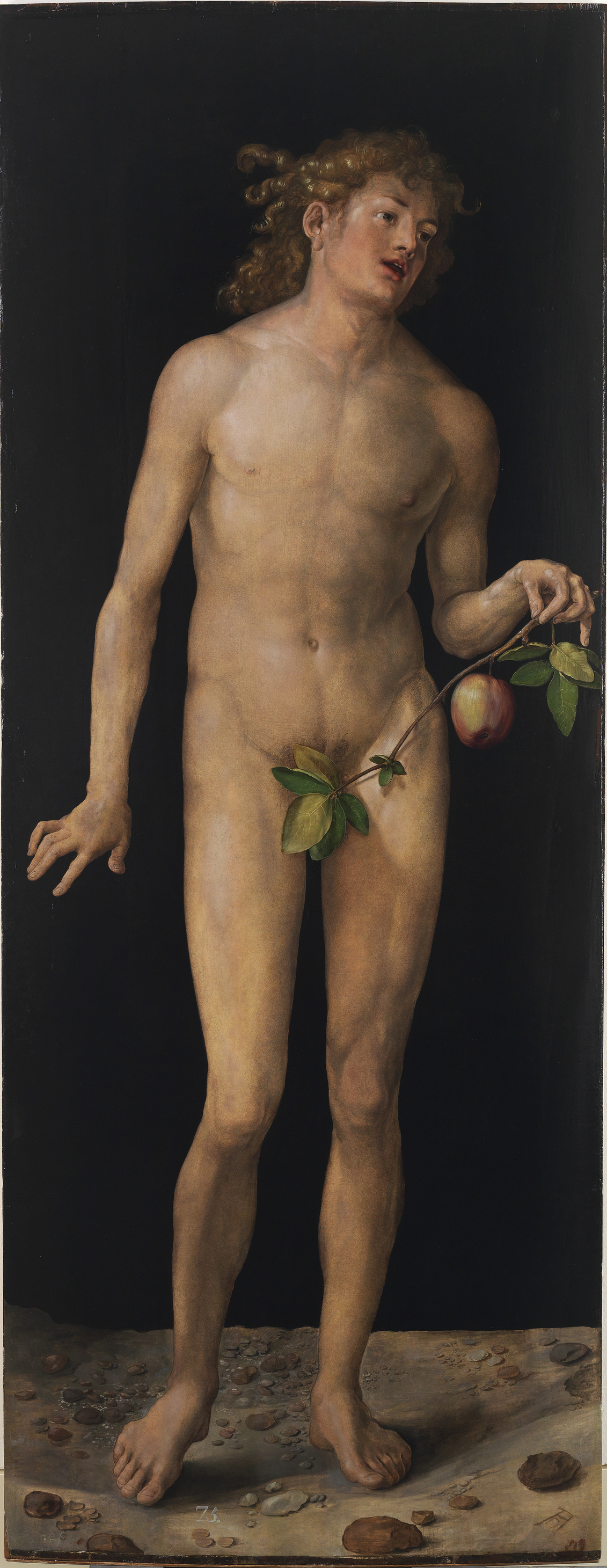 Albrecht Dürer, Adam