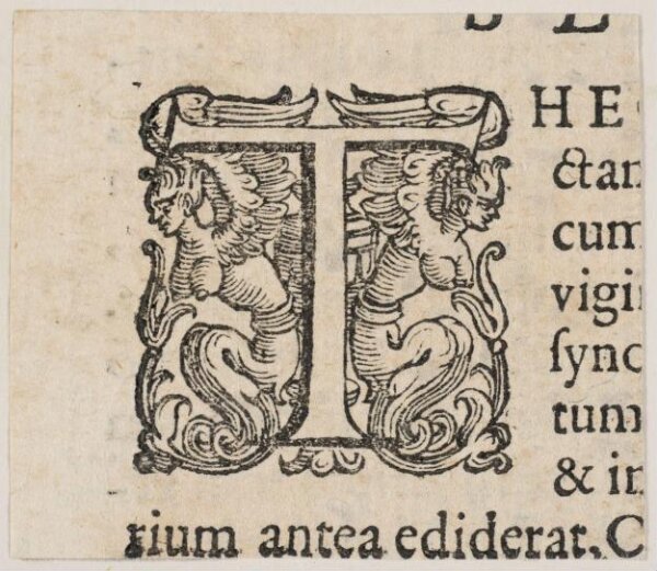 Unknown, Print