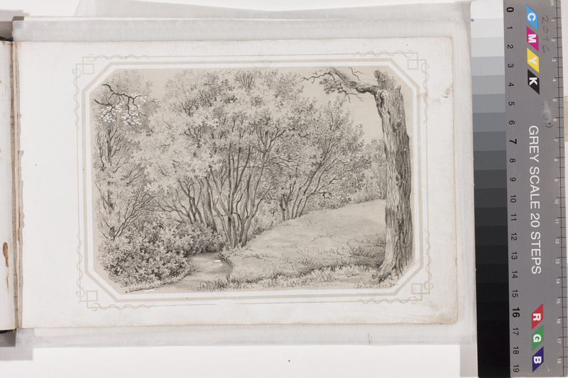 Georg Friedrich (autor) Schlater, Landscape with creek. Sheet from the Drawing Album