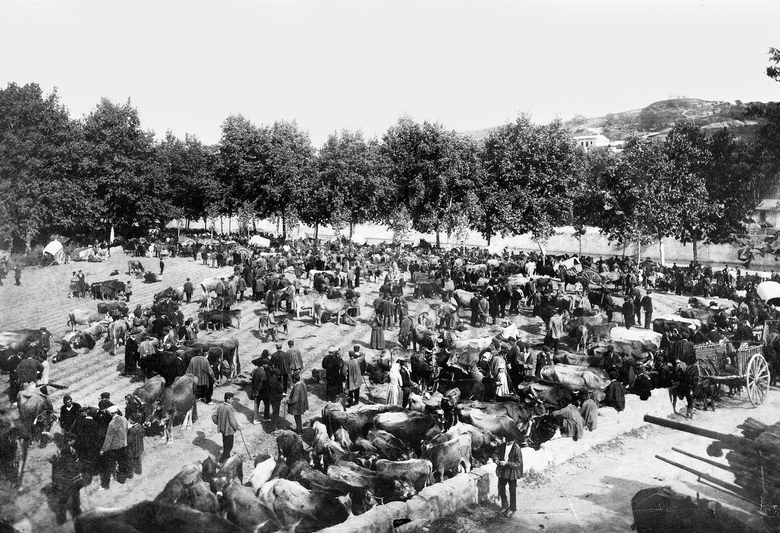 Desconegut, [Cattle Market]
