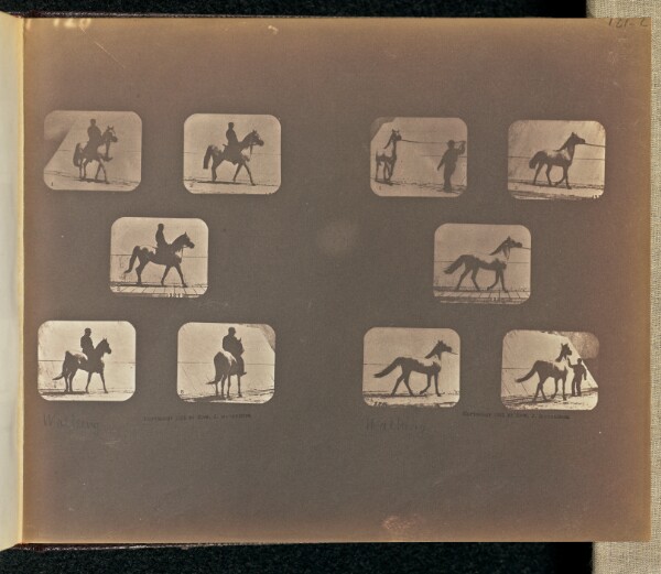 Eadweard J. Muybridge, Walking