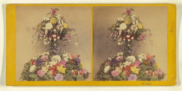 Benjamin West Kilburn, [Flower arrangement]