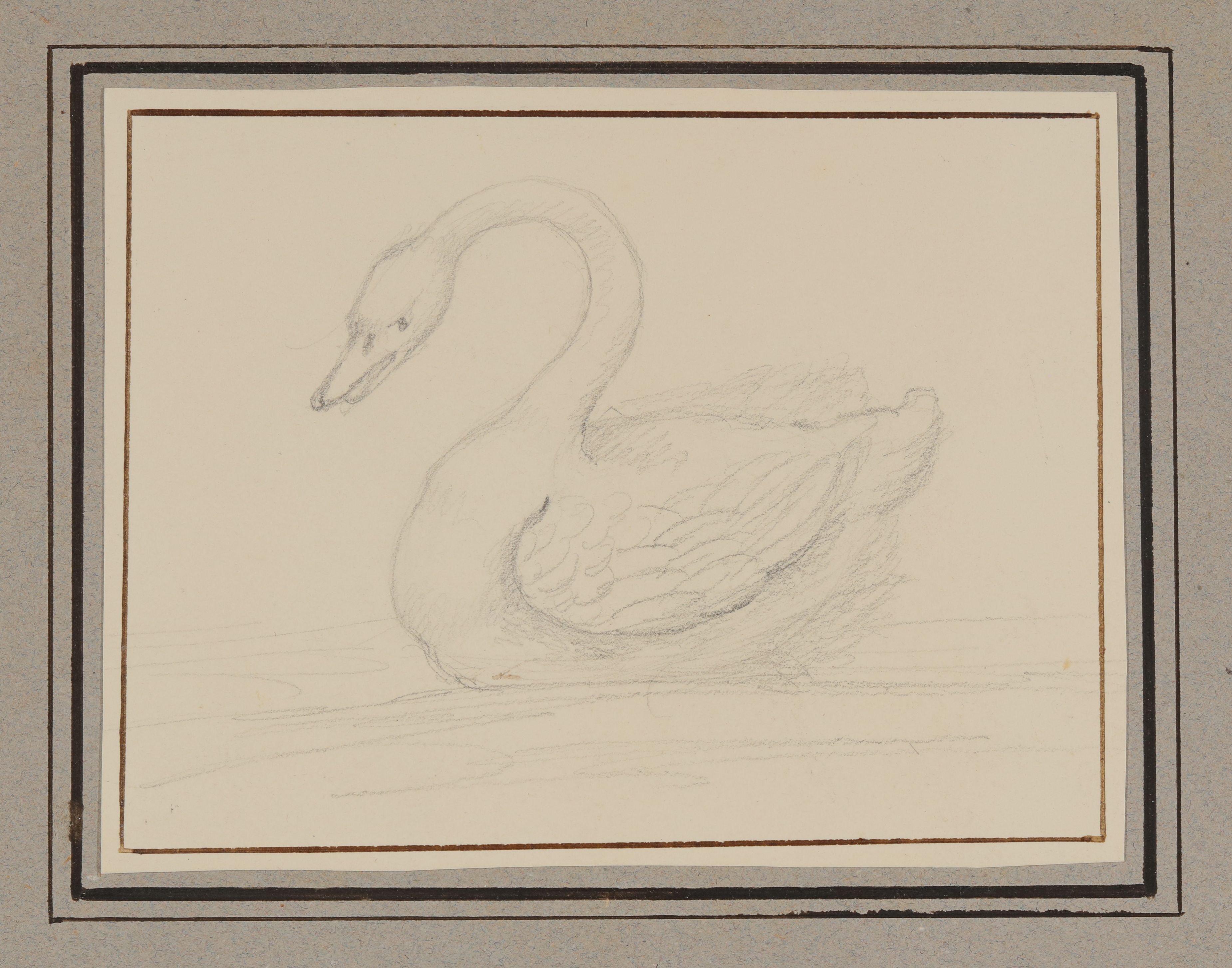 Armgart von Arnim, Schwan [aus der "geblümten Kassette"]