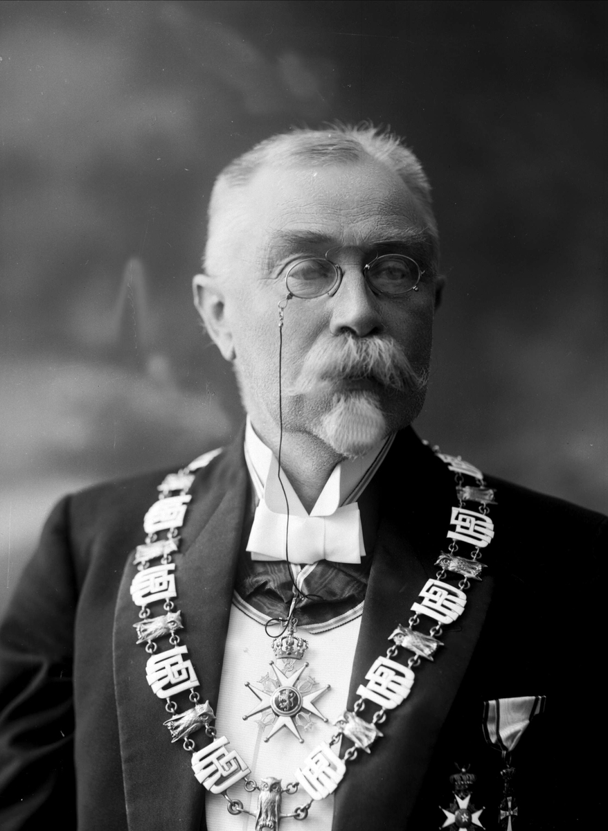 Gustav Borgen, Portrett, rektor ved universitetet i Oslo. Professor Morgenstjerna.