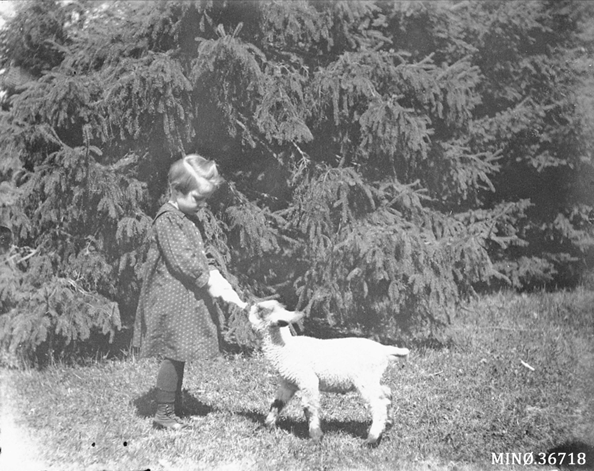 Ellert Kleven, Jente med lite lam. Evelyn f. Kleven