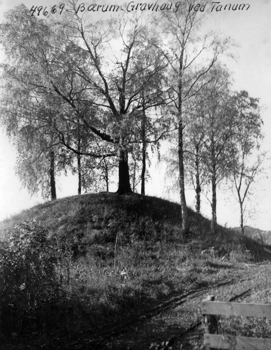 Anders Beer Wilse, Gravhaug v/ Tanum.